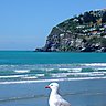Sea gull, Sumner Beach [Christchurch]へのリンク
